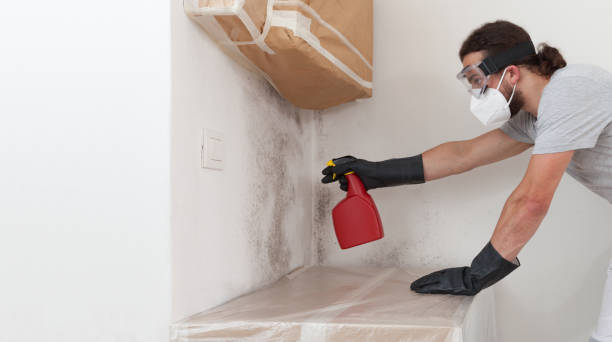 Professional Bathroom Mold Removal technician working in Irving, TX