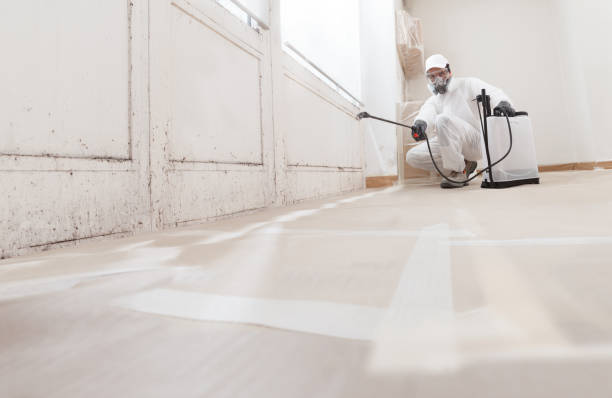 24/7 Emergency Bathroom Mold Removal experts in Irving, TX